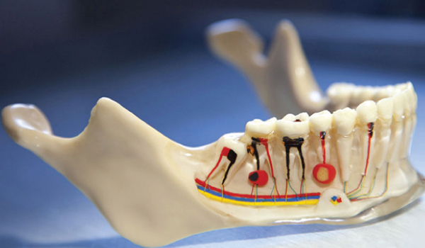 Conservative Dentistry & Endodontics Welcome Image